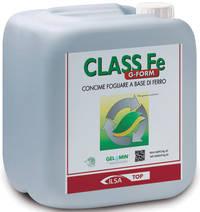 CLASS Fe G-FORM