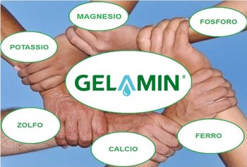 Gelamin-complessante1