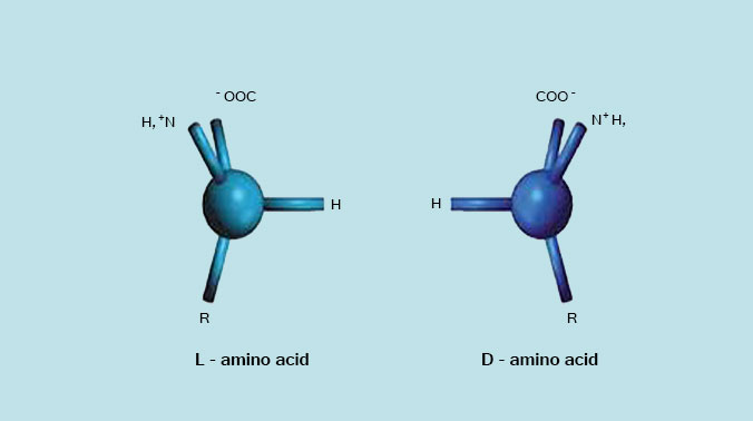 imp-amminoacidi